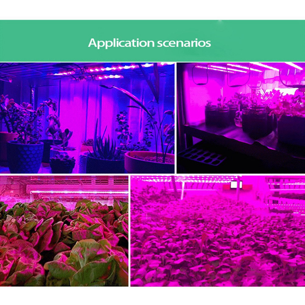 Plant Grow Light Full Spectrum - ABUH-5V, lampe de croissance pour plantes