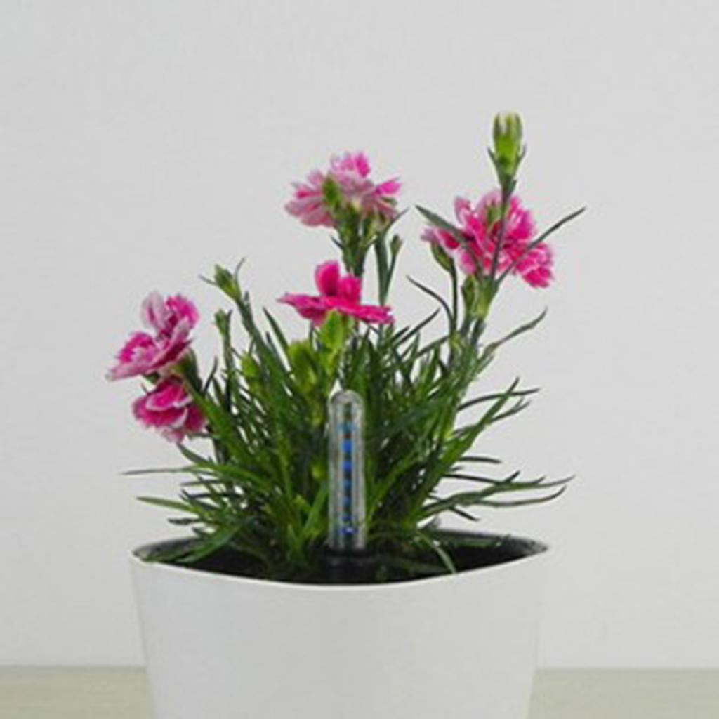 Plant Monitor - Indicateur de niveau d'eau pour plantes,