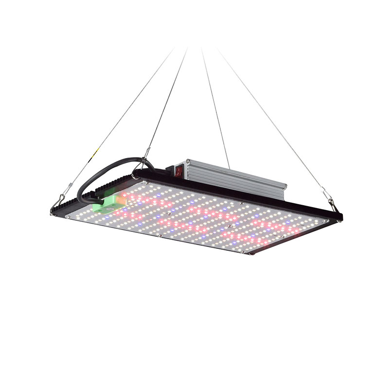 Lampe de culture LED Quantum-B - Grow Light Led avis et prix