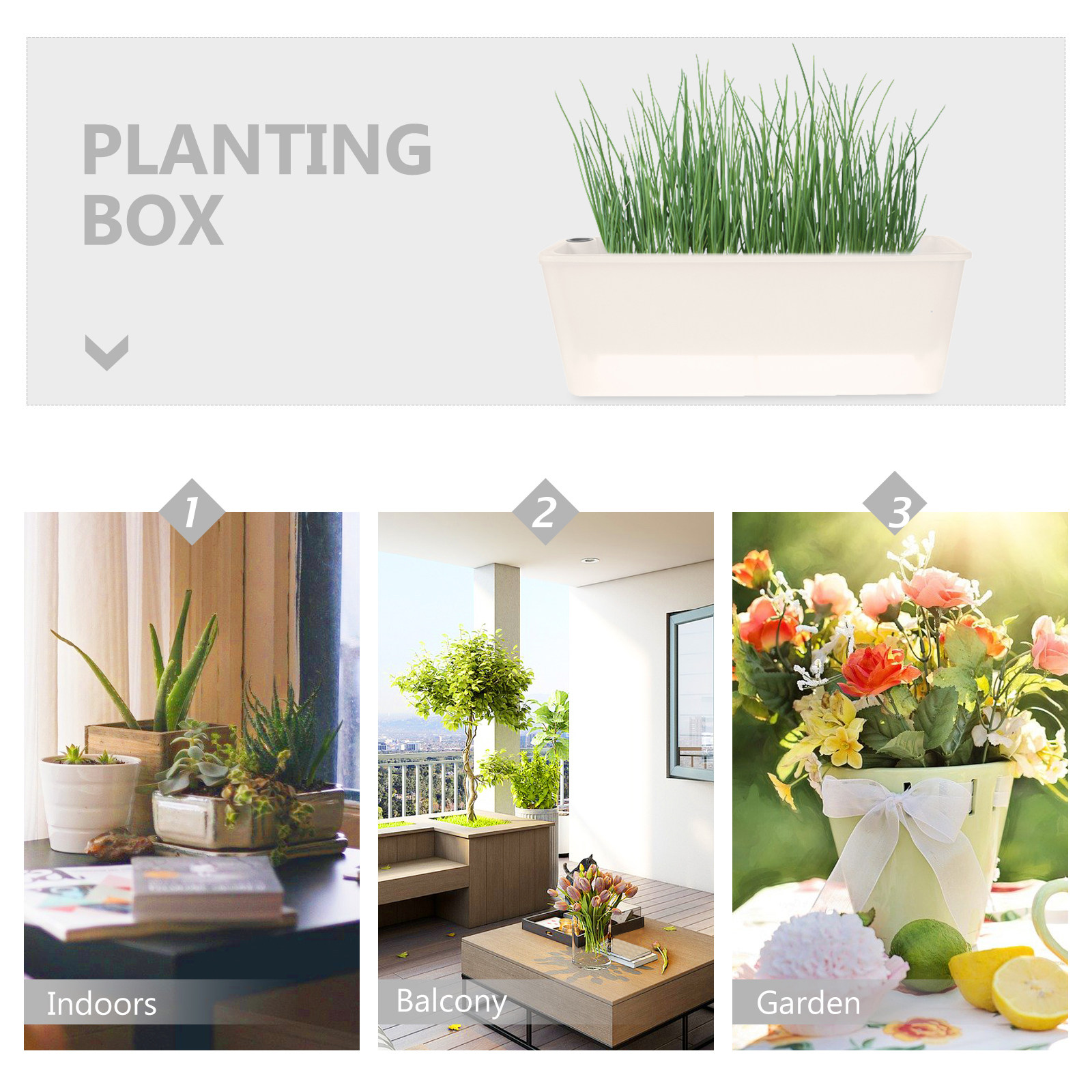 Jardinière rectangulaire, long - Self Watering Planter avis et prix