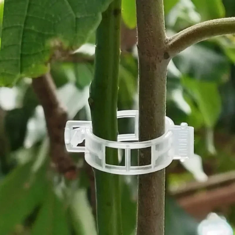 Clips de support pour plantes  - Smart Garden Kit avis et prix